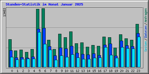 Stunden-Statistik im Monat Januar 2025