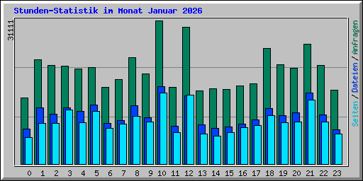 Stunden-Statistik im Monat Januar 2026